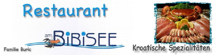 Bibisee_logo